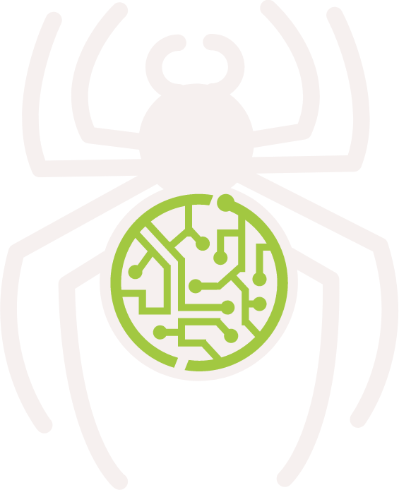 Feeding The Spiders